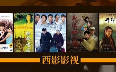 西影音像制品制作 艺术传承与商业创新的融合之路
