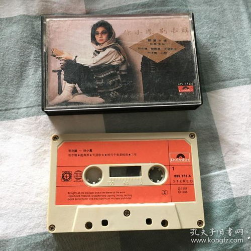 音像制品的收藏与制作 从唱片到通讯音像制品的艺术与记忆